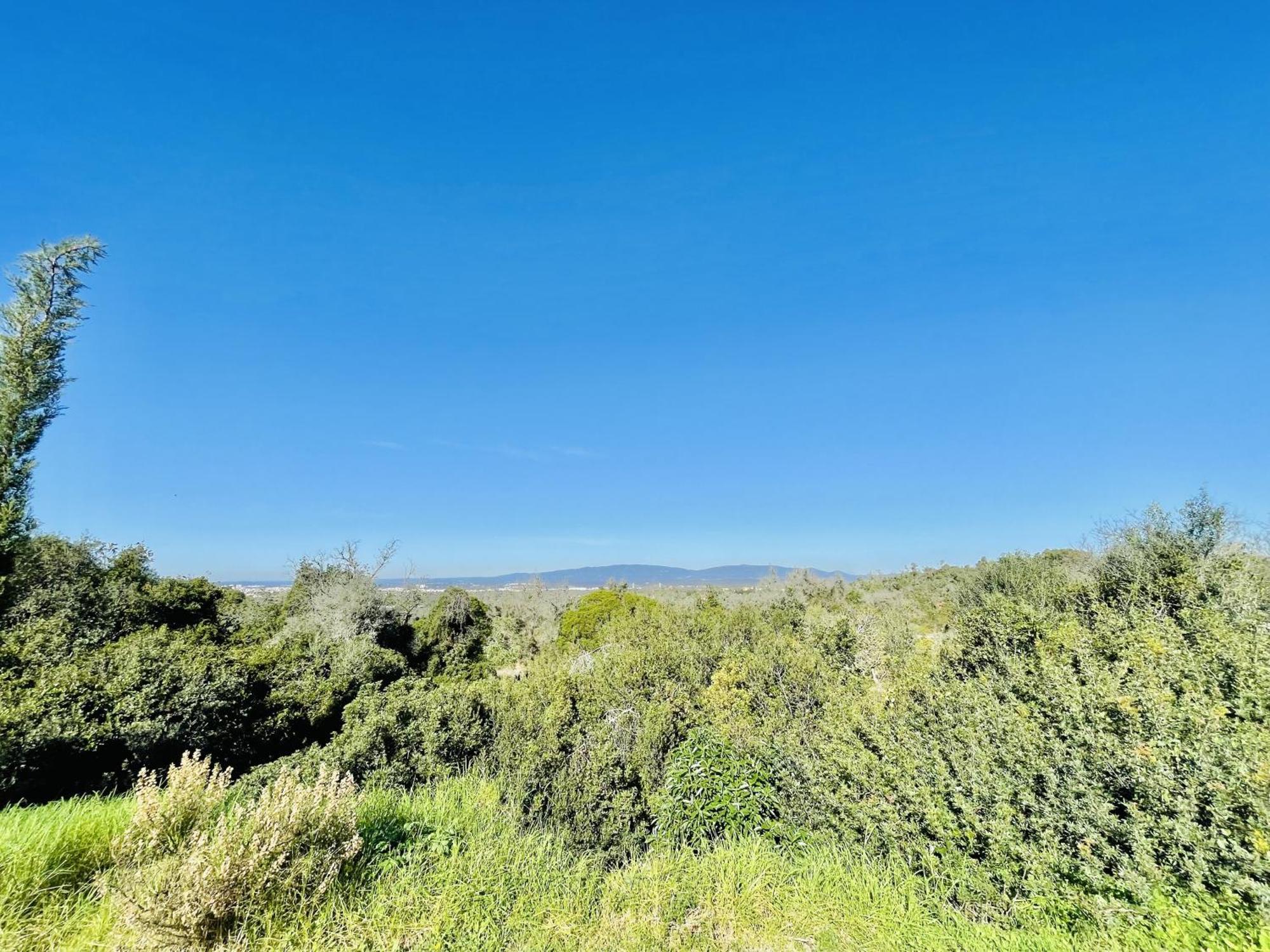 Lavanda - 2 Bedrooms - 3 Level Pool - Garden - Beach 1Km Estombar Exterior photo
